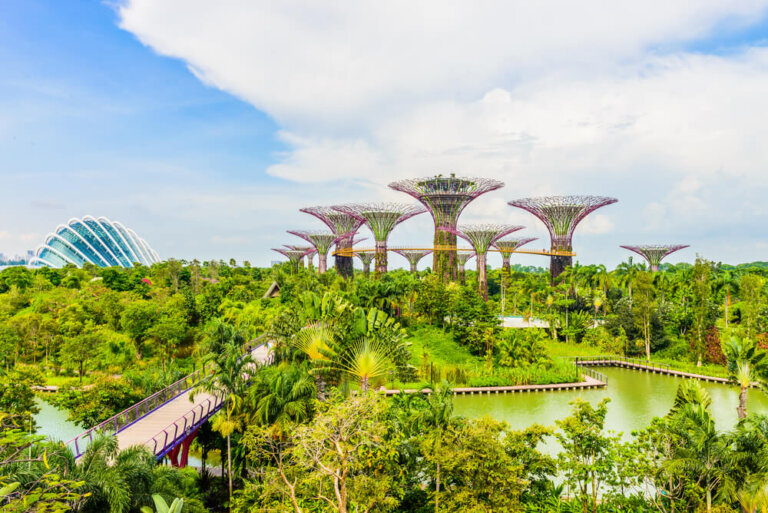 Los árboles mágicos de Gardens by the Bay en Singapur
