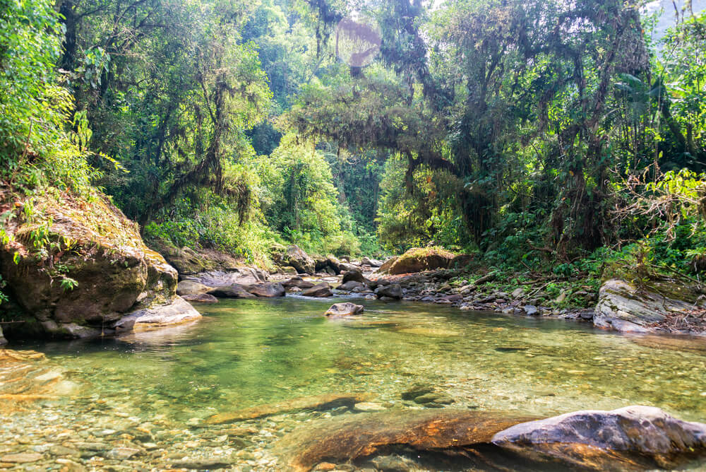 Interior de la Sierra Nevada de Santa Marta