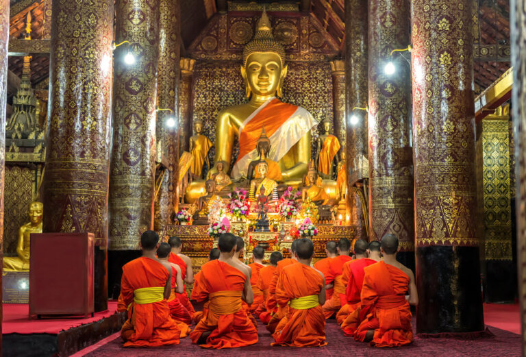 Budismo, ¿qué es y cuáles sus Mi Viaje