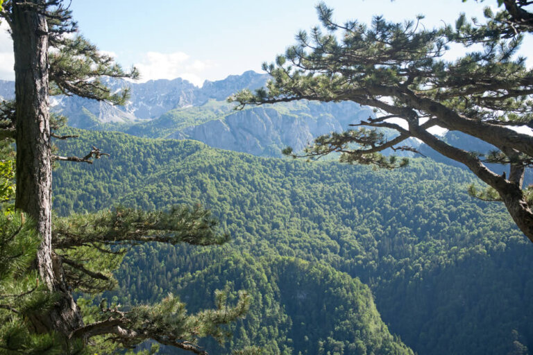 Perucica en Bosnia: una selva tropical en Europa