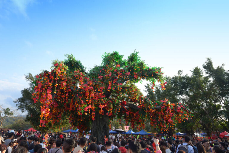 Lam Tsuen y sus árboles de los deseos