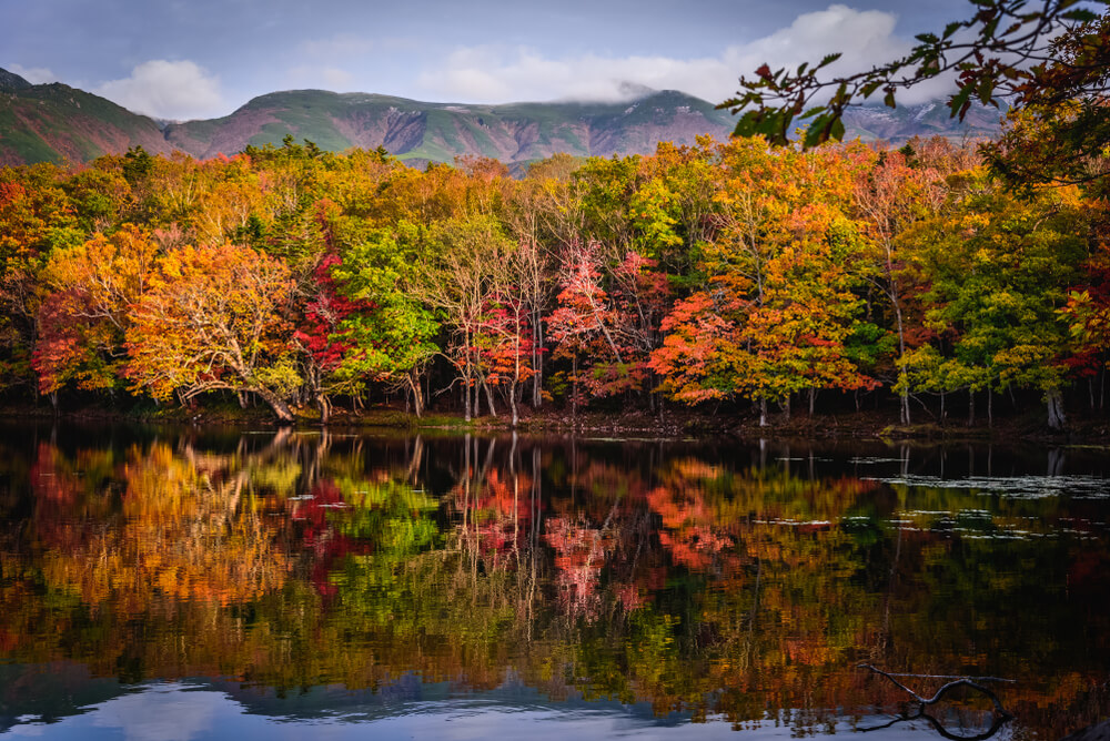 Parque Nacional de Shiretoko en otoño