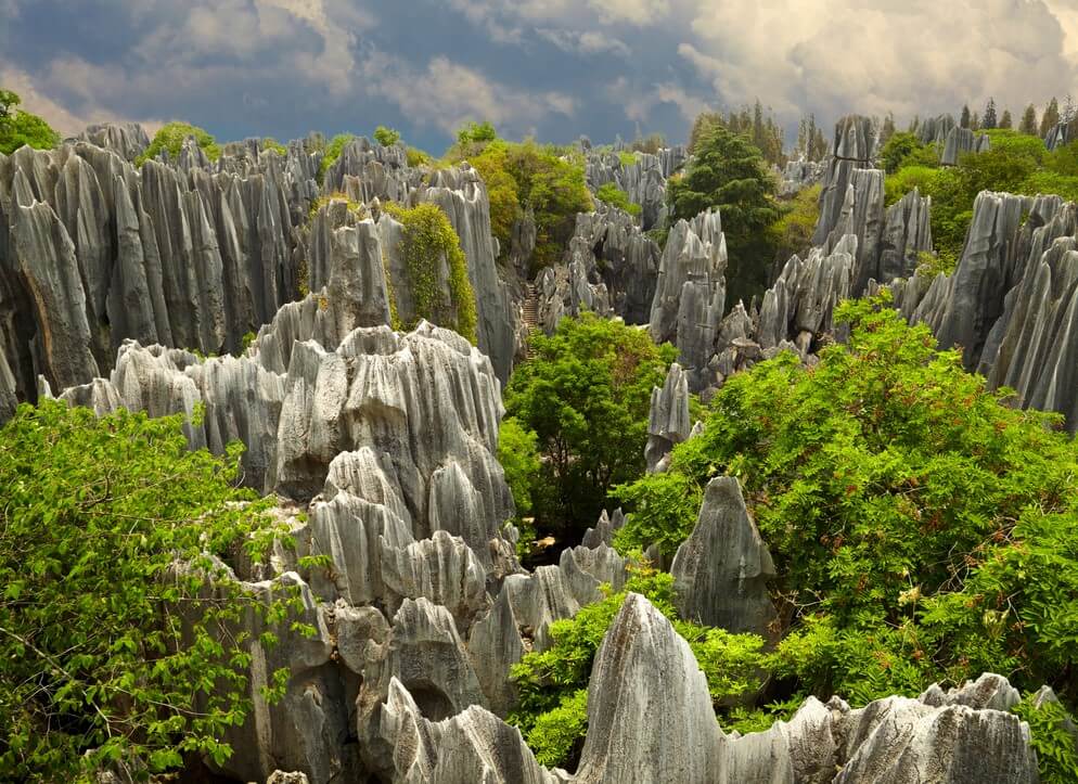 Bosque de piedra de Lunan