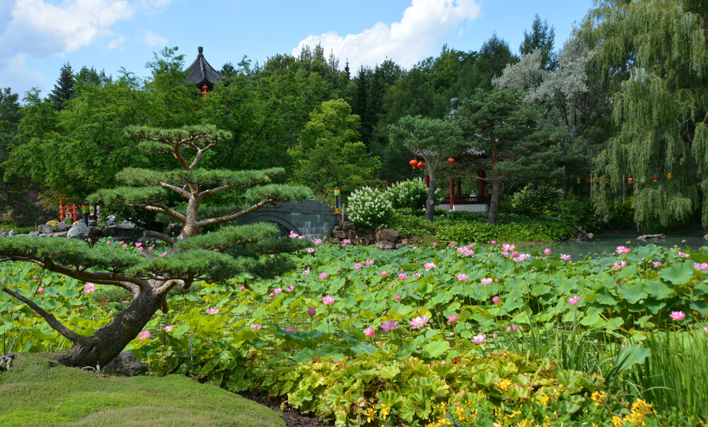 Jardín botánico de Montreal