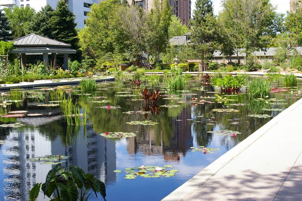 Denver Botanic Gardens, uno de los mejores jardines botánicos del mundo