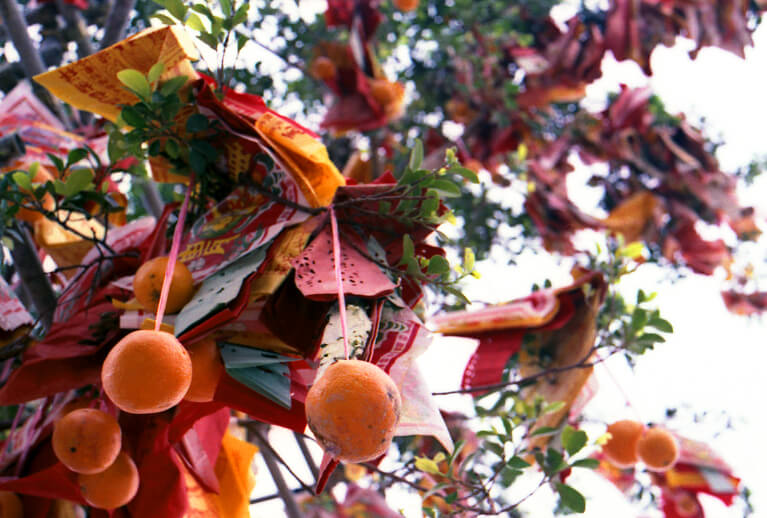 Deseos colgados de los árboles de Lam Tsuen