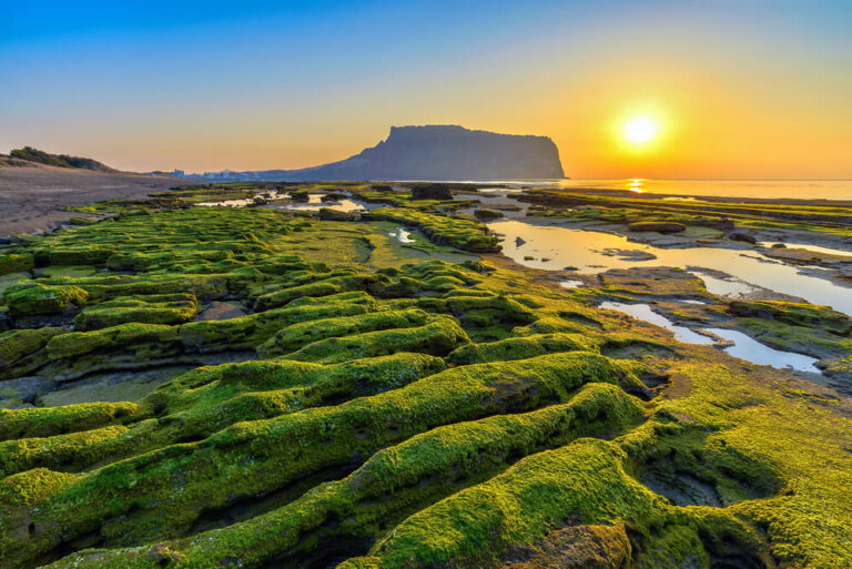 La isla Jeju, una de las maravillas naturales