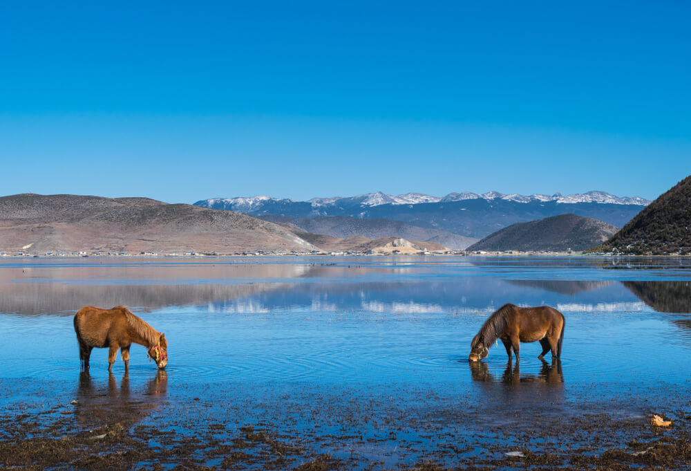 Lago Napahai