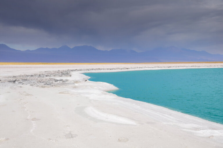 La laguna Cejar y su hermosa diversidad de paisajes