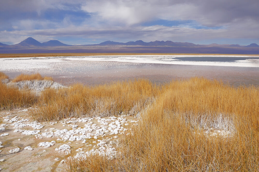 Vista de la laguna Cejar
