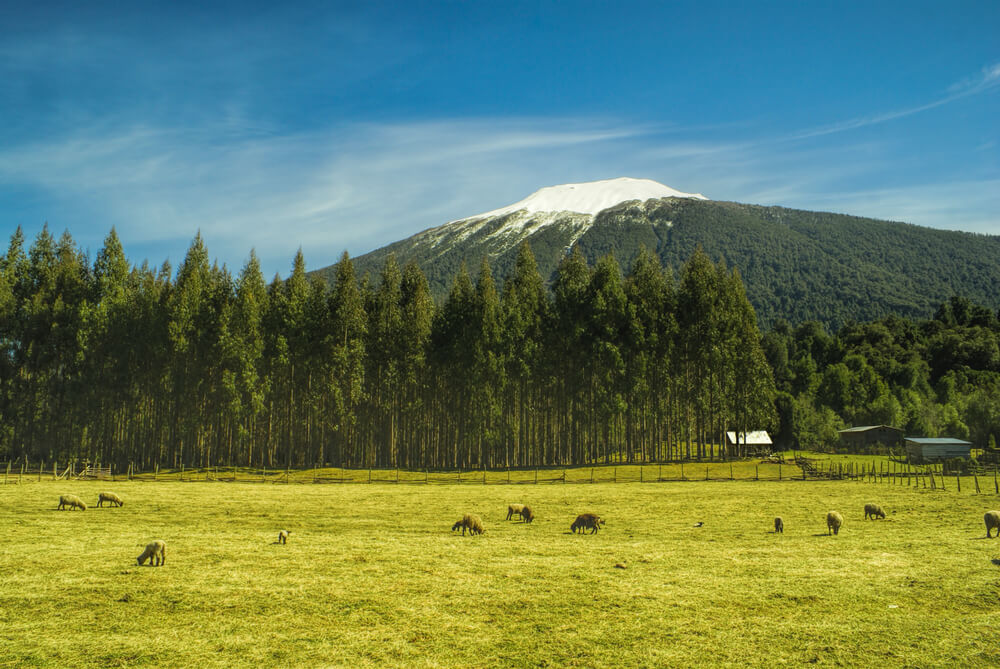 Paisaje del Parque Nacional Hornopirén
