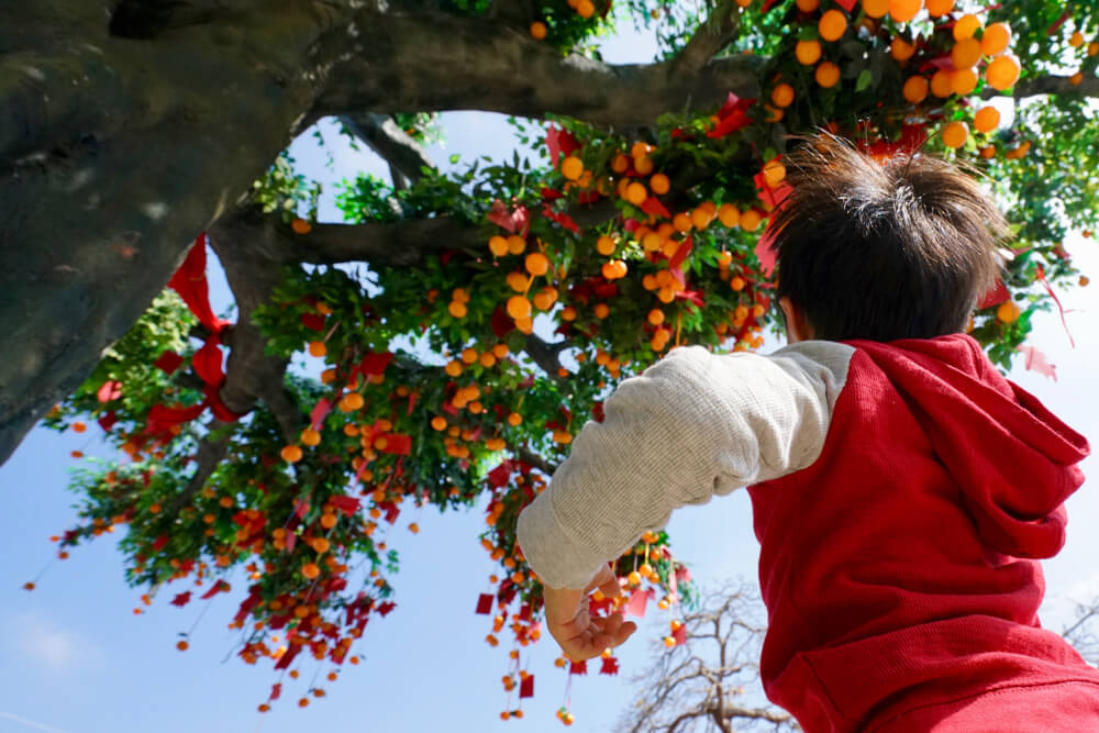Niño colgando un deseo