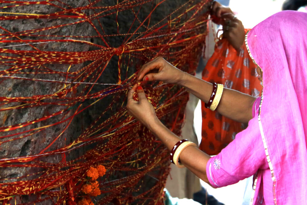 Ofrenda en el árbol Kalpavriksha