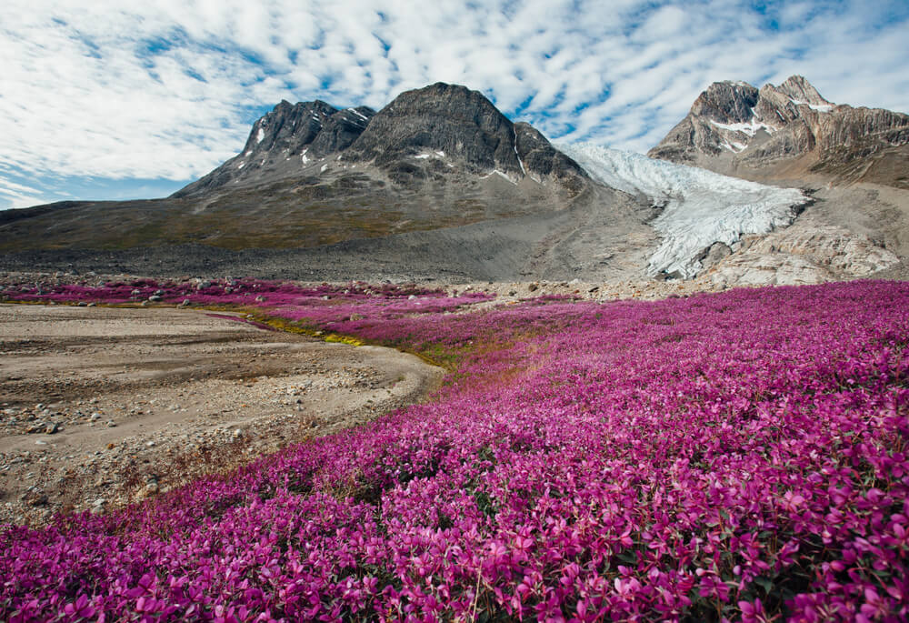 Paisaje de Groenlandia