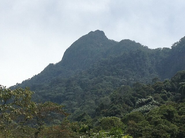 Picco de Loro en los farallones de Cali