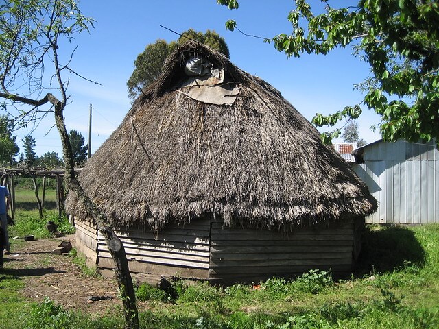 Ruca mapuche