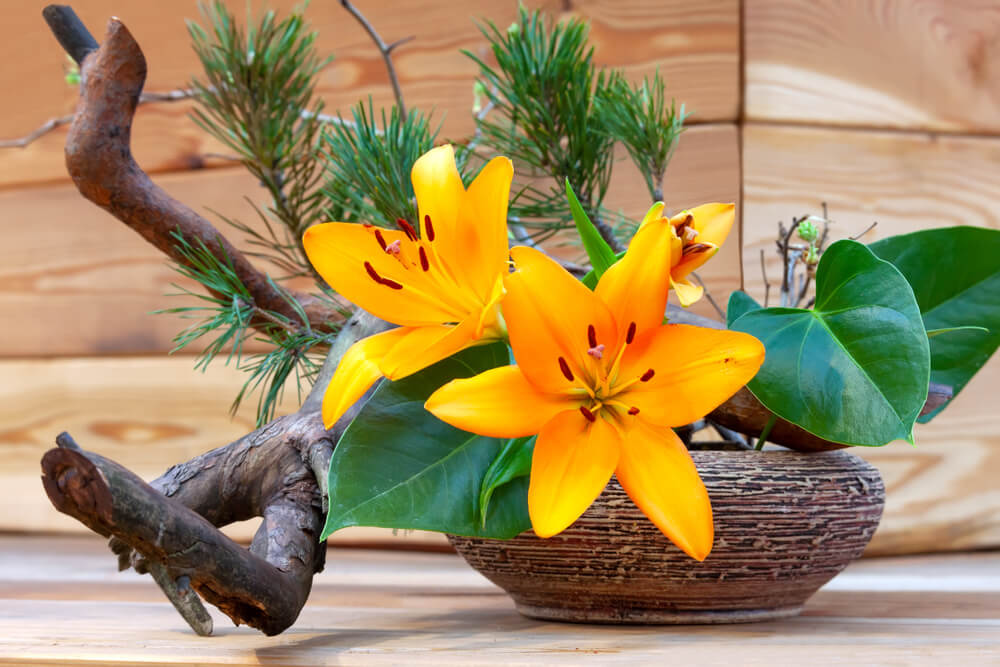 Muestra de ikebana