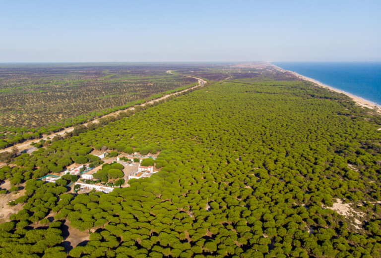 Lugares de la provincia de Huelva que no debes perderte
