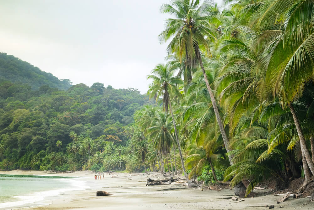 Playa en Isla Gorgona