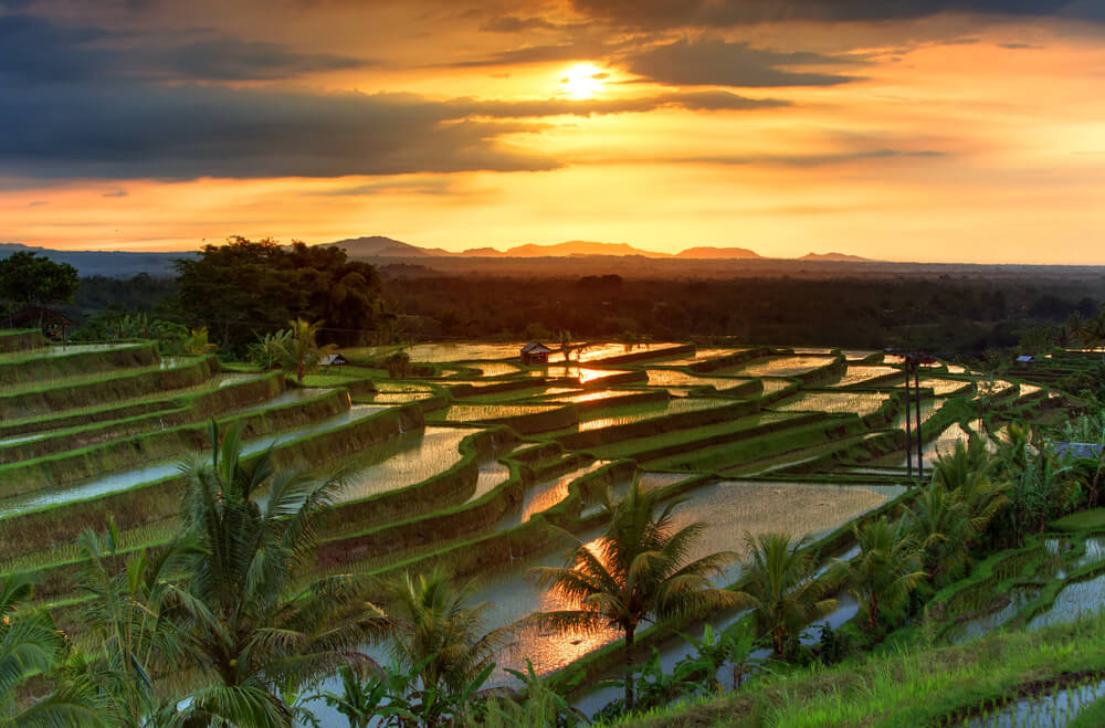 Jatiluwih al atardecer