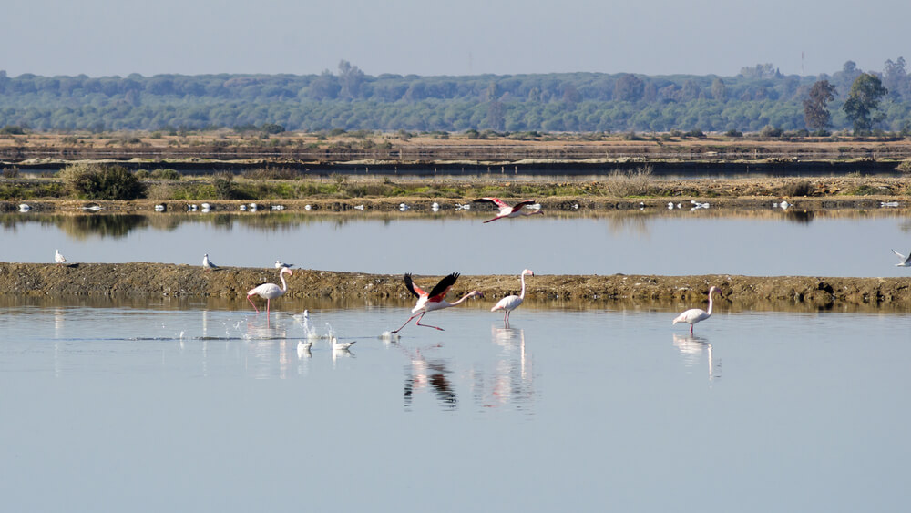 Lugares De La Provincia De Huelva Que No Debes Perderte Mi Viaje lugares-de-la-provincia-de-huelva-que-no-debes-perderte-mi-viaje