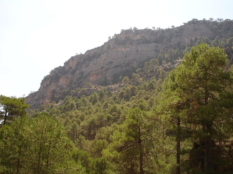 Sortados en la sierra de Pozo Alcón