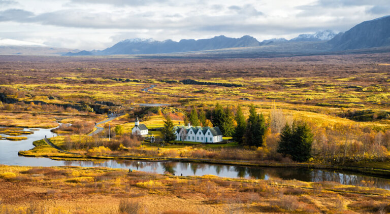 El largo camino de Islandia hacia la reforestación