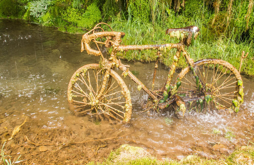 Bicicleta petrificada