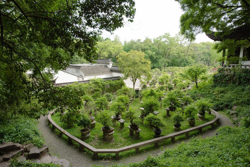 Jardín de bonsáis