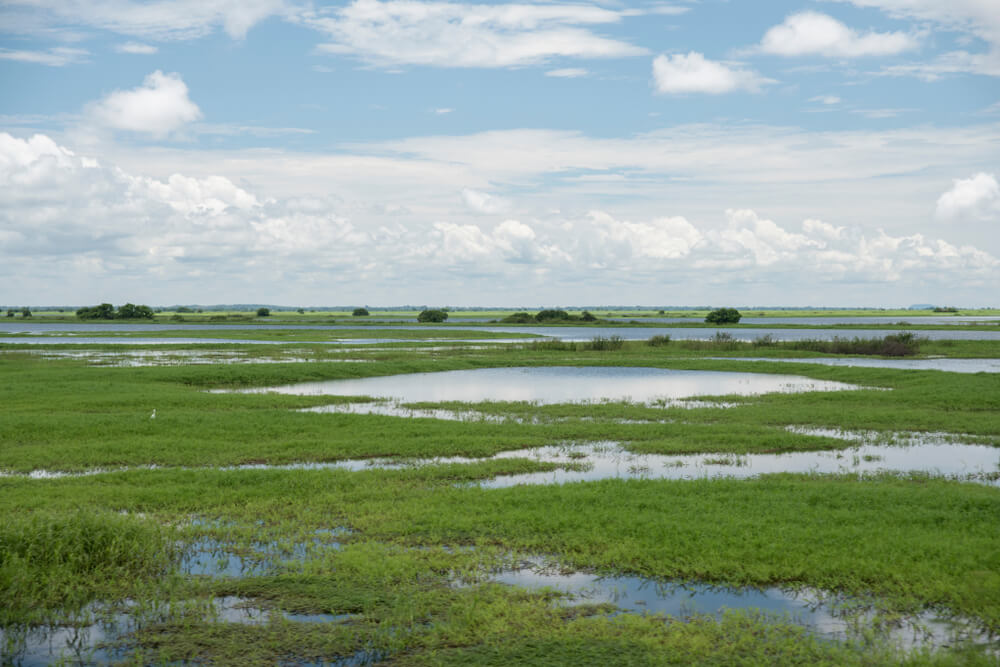Complejo lagunas en Ciénaga Grande de Santa Marta