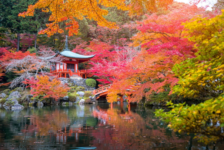 Disfrutando del 'momiji', el paisaje de otoño japonés