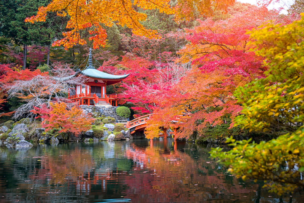 Disfrutando del ‘momiji’, el paisaje de otoño japonés