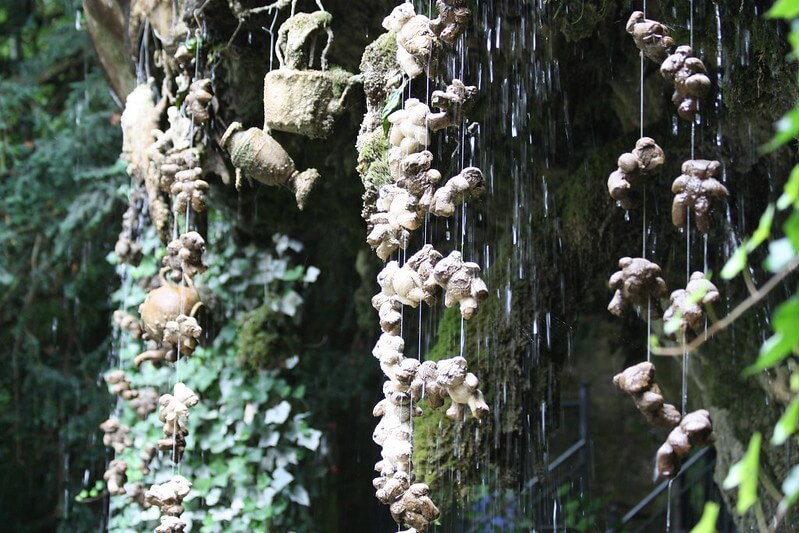 Objetos petrificados