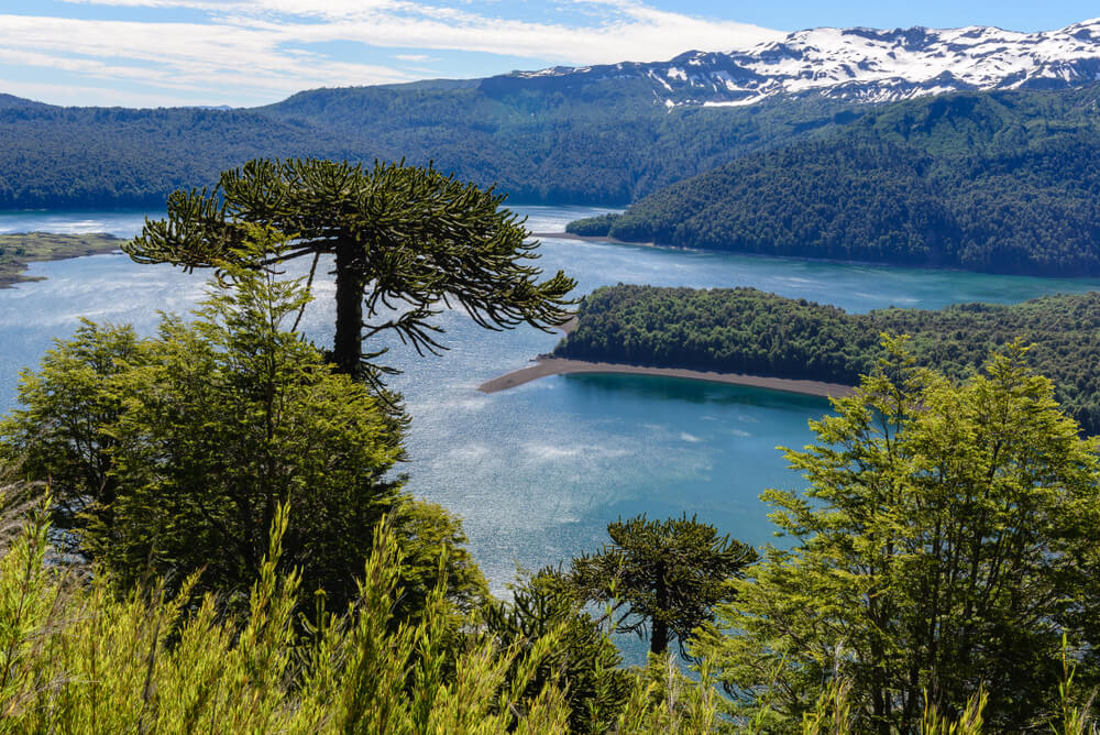 Paisaje de la Araucanía
