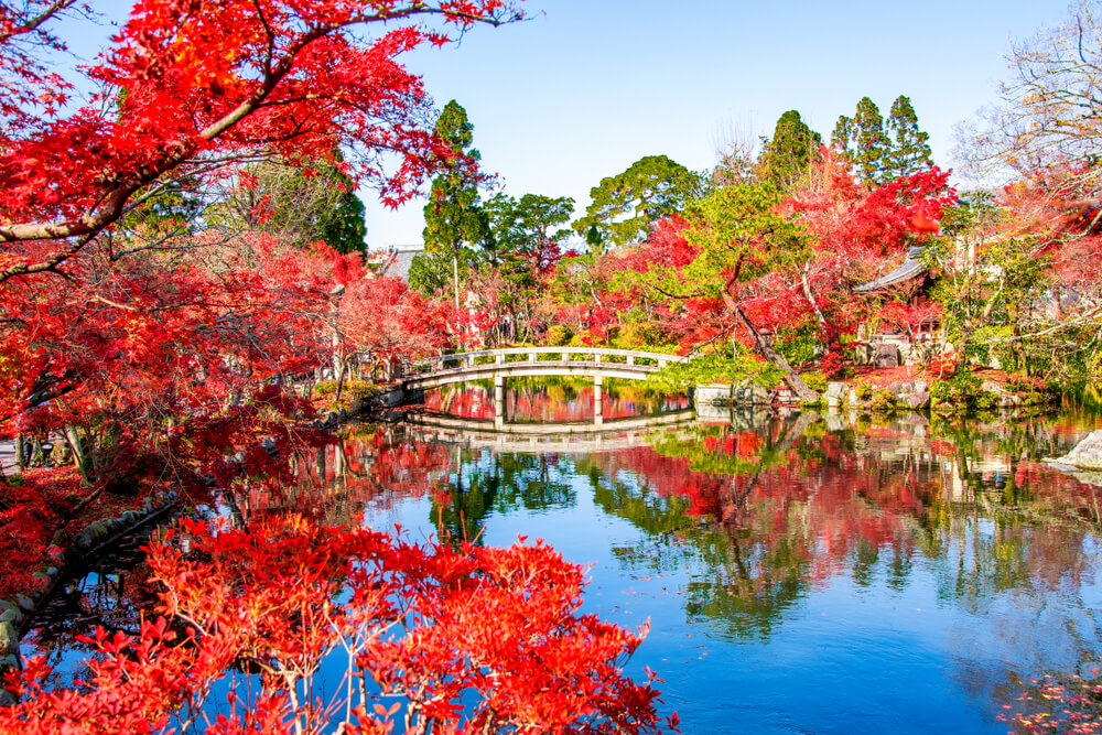 Paisaje de momiji en Japón