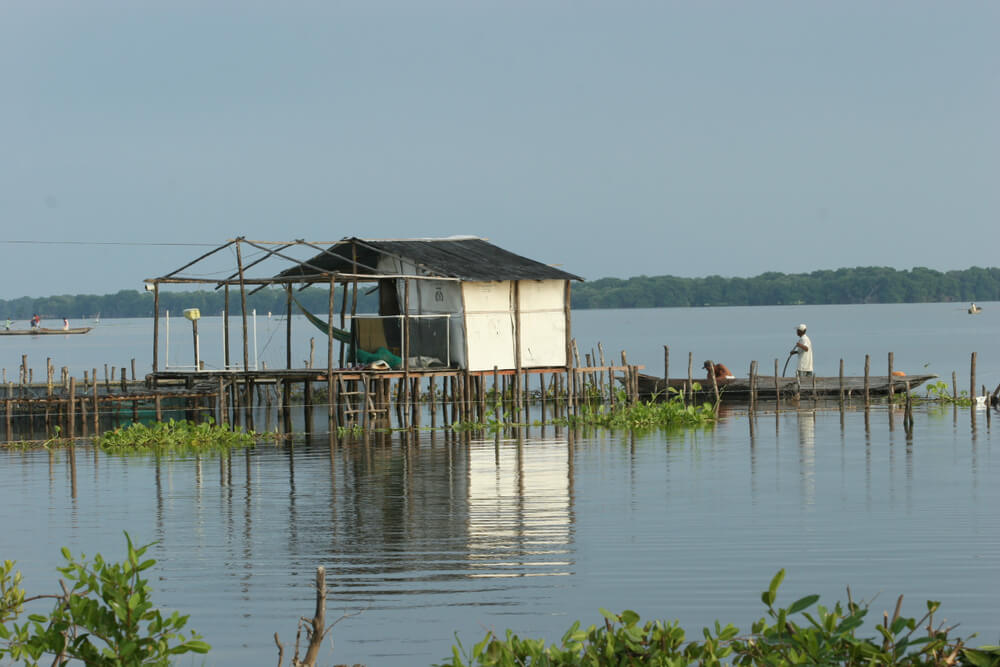Palafito en Magdalena