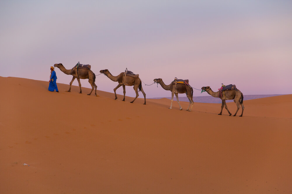 Tuareg en el desierto