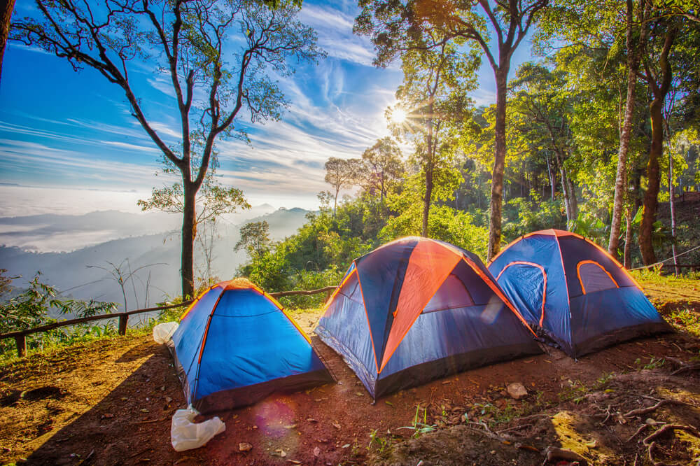 Acampada