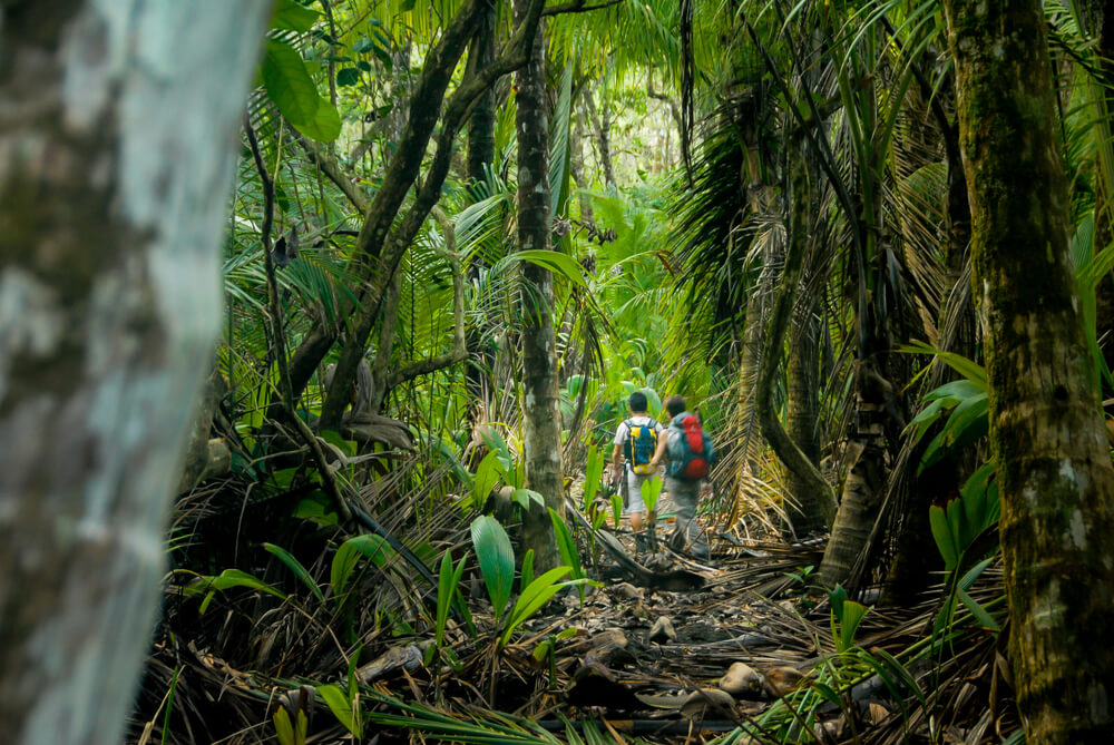 Parque Corcovado en Costa Rica