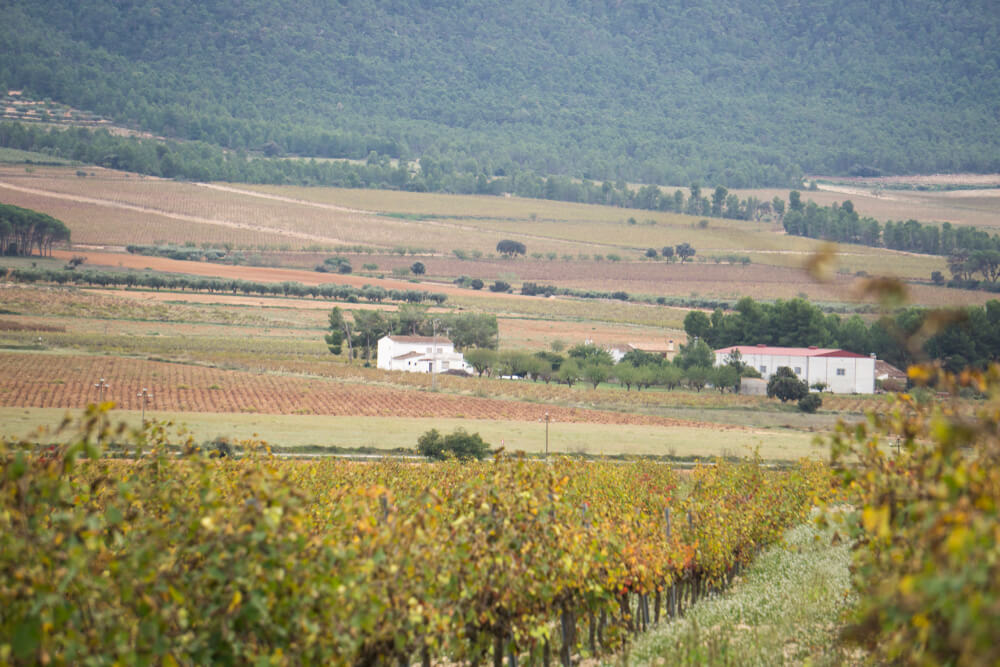 Fontanar del Alforins