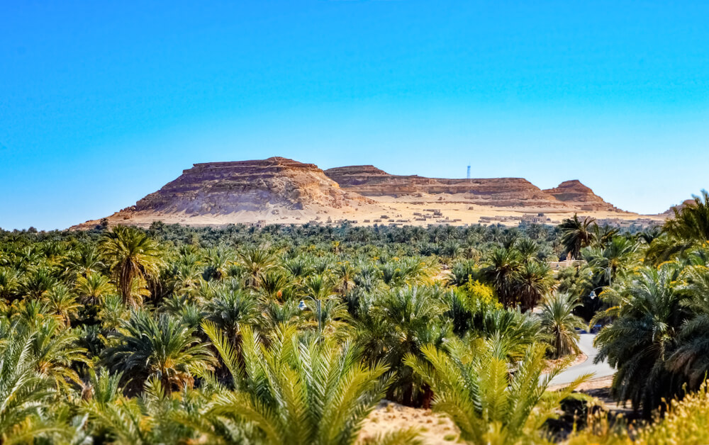Siwa en el desierto de Egipto