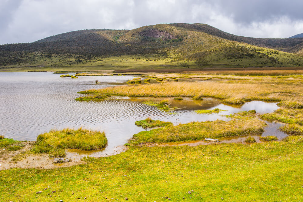 Páramo en Cotopaxi