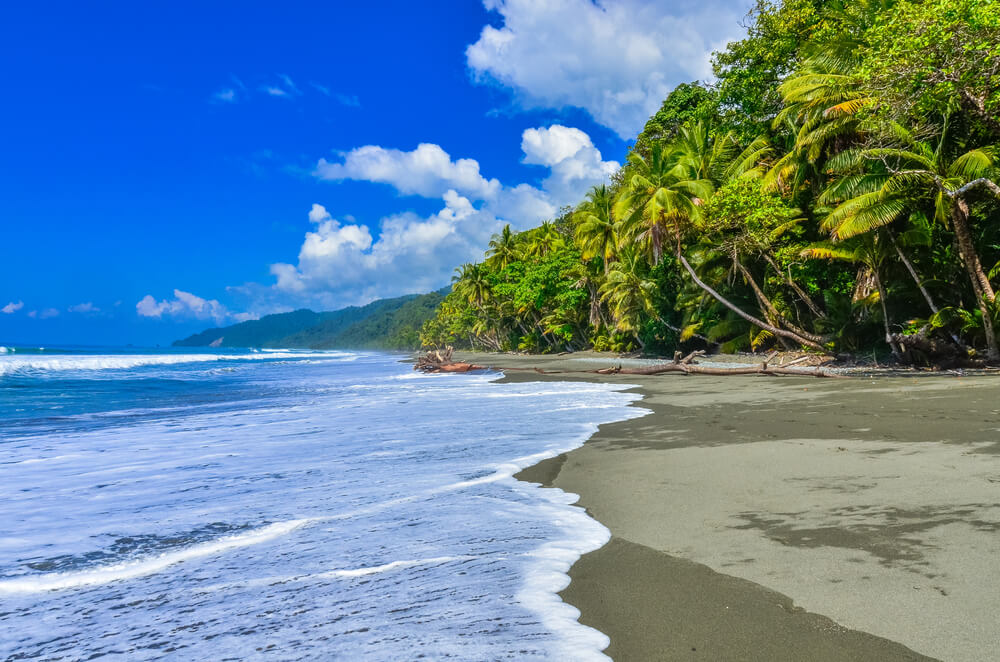 PArque Nacional Corcovado, uno de los bosques de Costa Rica