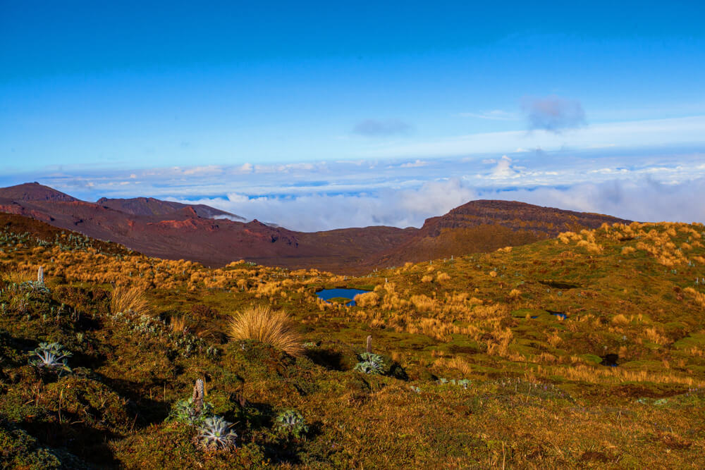 Paisaje del Parque Nacional Puracé
