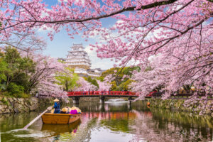 Cerezos en flor, momento para disfrutar de Japón en pareja