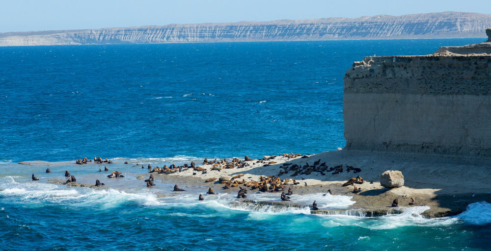 Costa de la península Valdés