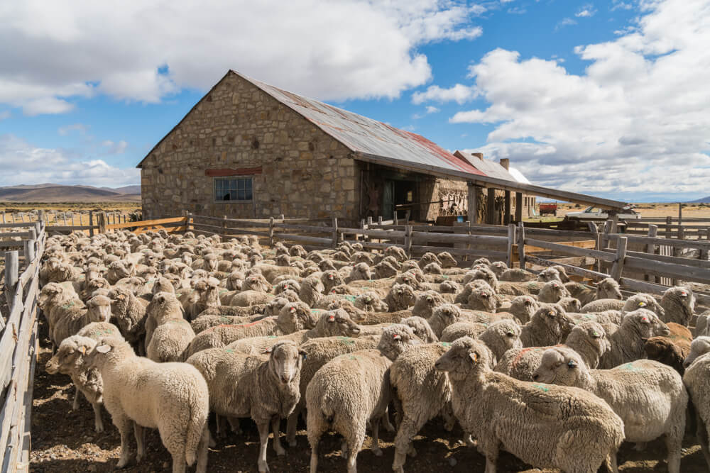 Estancia en la Patagonia
