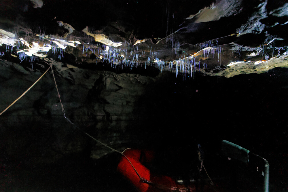 Gusanos bioluminiscentes en las cuevas de Waitomo