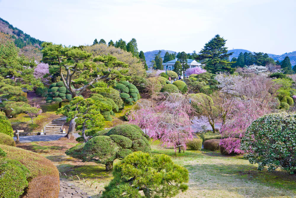 Jardines del palacio de Hakone