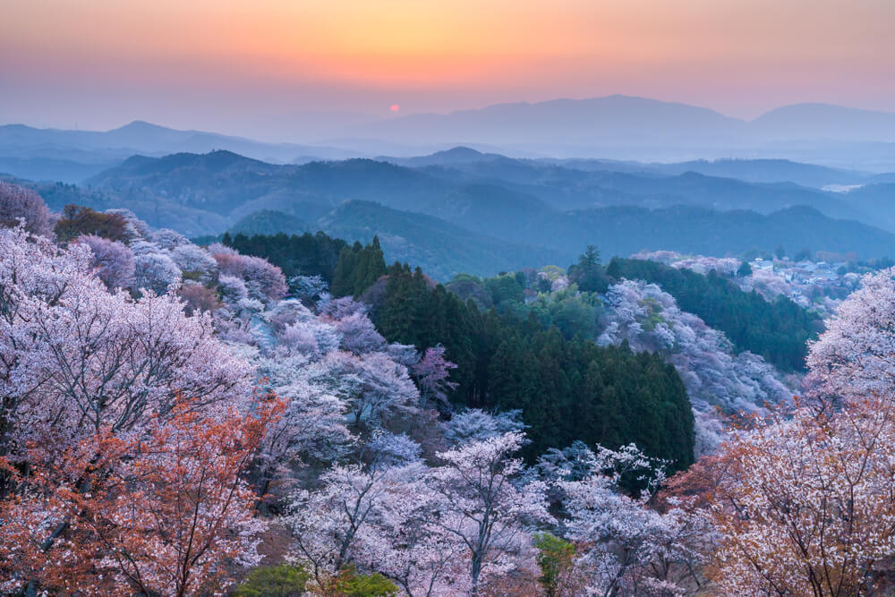 Monte Yoshino